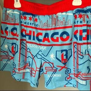 Baseball Lifestyle 101- Chicago Themed Shorts